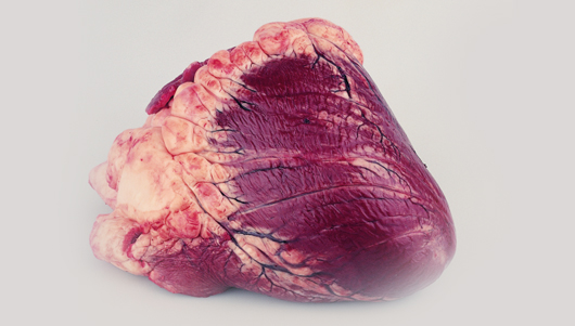 Brazil Best Foods|Frozen Beef